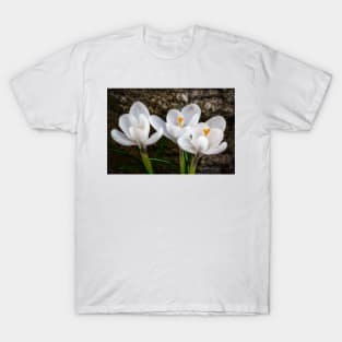 Three Crocus T-Shirt